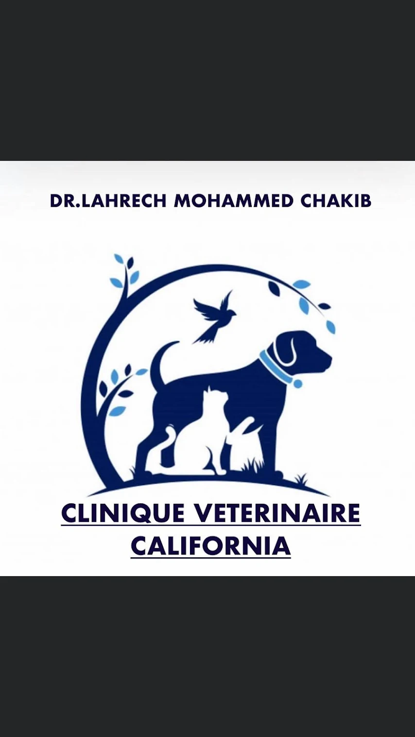 Vétérinaire Dr Lahrach Chakib Vétérinaire Dr Lahrach Chakib
