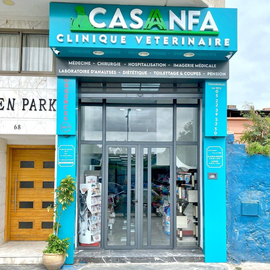Clinique Vétérinaire Casa-Anfa Clinique Vétérinaire Casa-Anfa