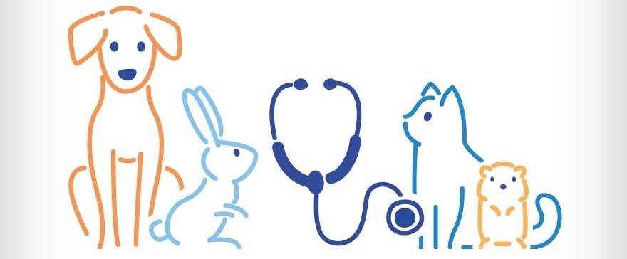 Clinique vétérinaire Fonti Clinique vétérinaire Fonti
