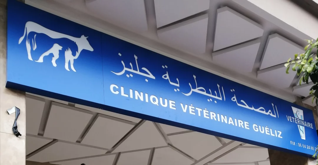 Clinique vétérinaire Keliz Clinique vétérinaire Keliz