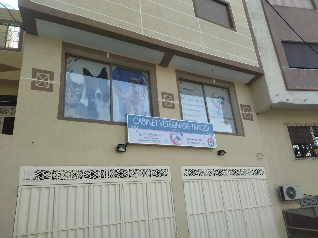 Vétérinaire Dr Majd Hanawi Vétérinaire Dr Majd Hanawi