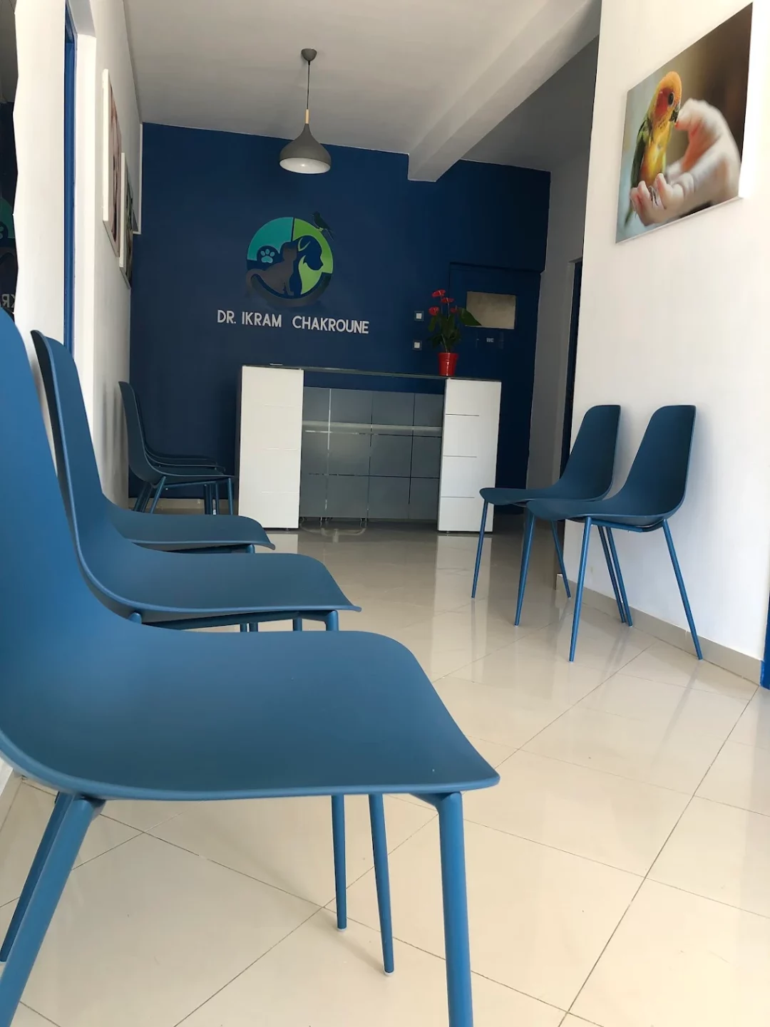 Vétérinaire Ikram Shaqroun Vétérinaire Ikram Shaqroun
