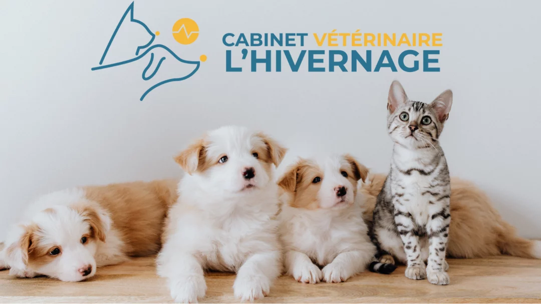 Cabinet Vétérinaire L'Hivernage Cabinet Vétérinaire L'Hivernage