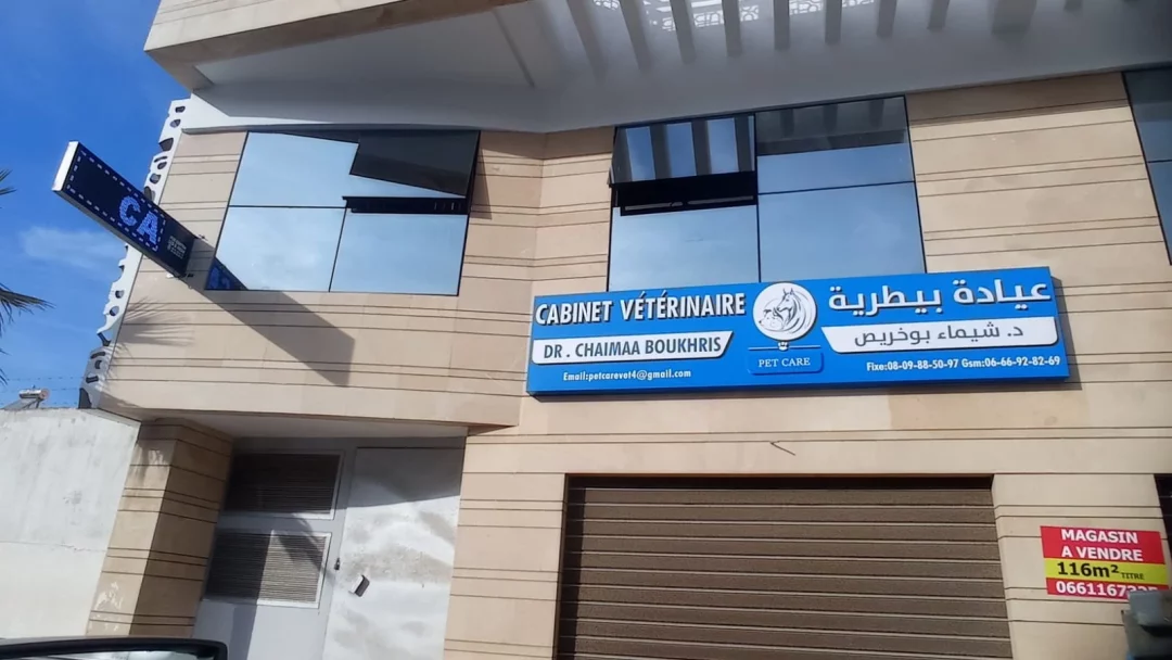 Vétérinaire Dr. Shaima Boukhris Vétérinaire Dr. Shaima Boukhris
