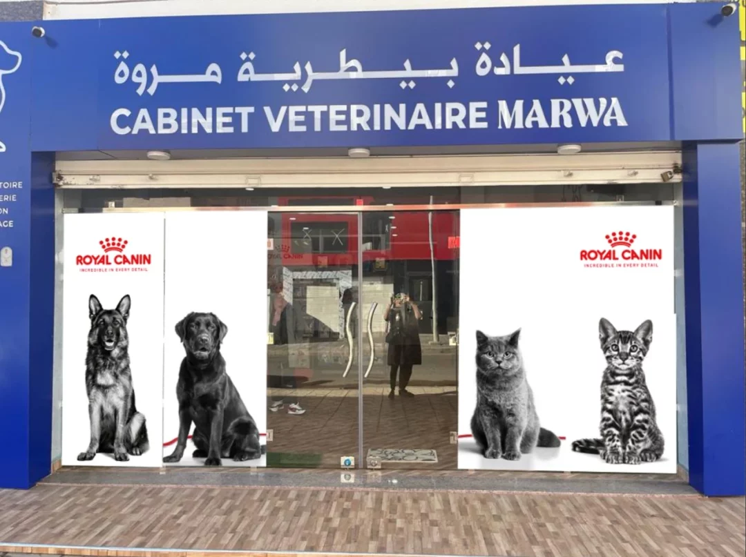 Cabinet vétérinaire de Marwa Cabinet vétérinaire de Marwa