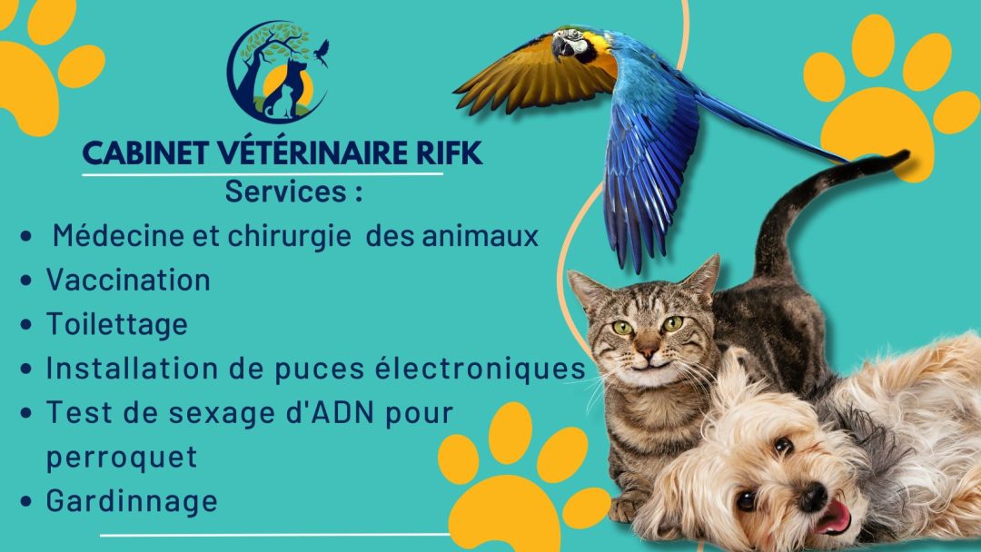 Clinique vétérinaire Rafq Clinique vétérinaire Rafq