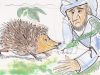 4 Animaux parlants les plus célèbres des contes populaires marocains hérisson avec un conteur marocain