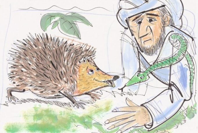 4 Animaux parlants les plus célèbres des contes populaires marocains hérisson avec un conteur marocain