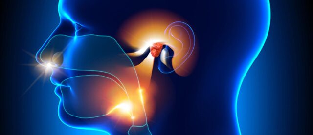 médecins ORL à Kénitra