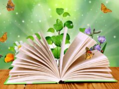 Les 8 plus belles histoires pour enfants à lire cet automne Des histoires amusantes et enchanteresses pour les enfants en automne