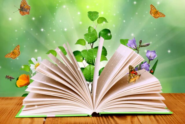 Les 8 plus belles histoires pour enfants à lire cet automne Des histoires amusantes et enchanteresses pour les enfants en automne