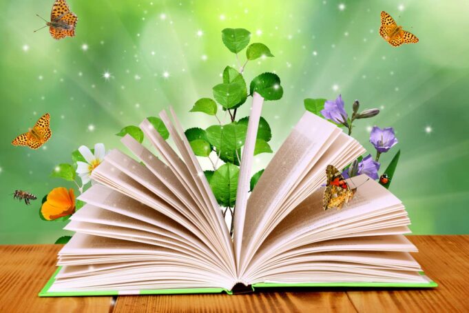 Les 8 plus belles histoires pour enfants à lire cet automne Des histoires amusantes et enchanteresses pour les enfants en automne